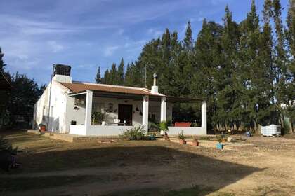 Rancho venda em La Tirimbola, Almonte, Huelva. 