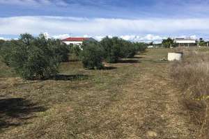 Ranch zu verkaufen in Almonte, Huelva. 