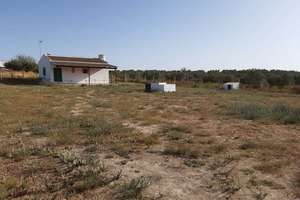 Ranch for sale in Los Serranos, Almonte, Huelva. 