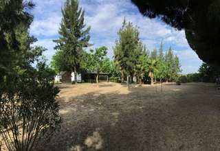 Ranch vendita in Paraje el Porretal, Almonte, Huelva. 