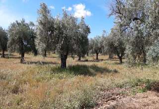Grundstück/Finca zu verkaufen in Los Serranos, Almonte, Huelva. 