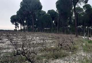 Terreno vendita in Montehigo, Almonte, Huelva. 