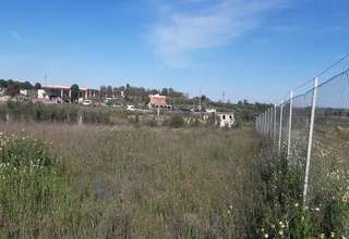 Ranch for sale in Los Olivarejos, Almonte, Huelva. 
