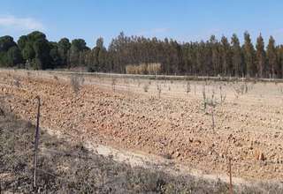 Grundstück/Finca zu verkaufen in Paraje Pinar Jurado, Almonte, Huelva. 