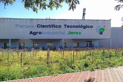 Solar industrial venda a Parque Tecnológico, Jerez de la Frontera, Cádiz. 