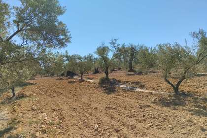 Grundstück/Finca zu verkaufen in Paraje Las Gavias, Almonte, Huelva. 